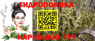 МДПВ Волжск