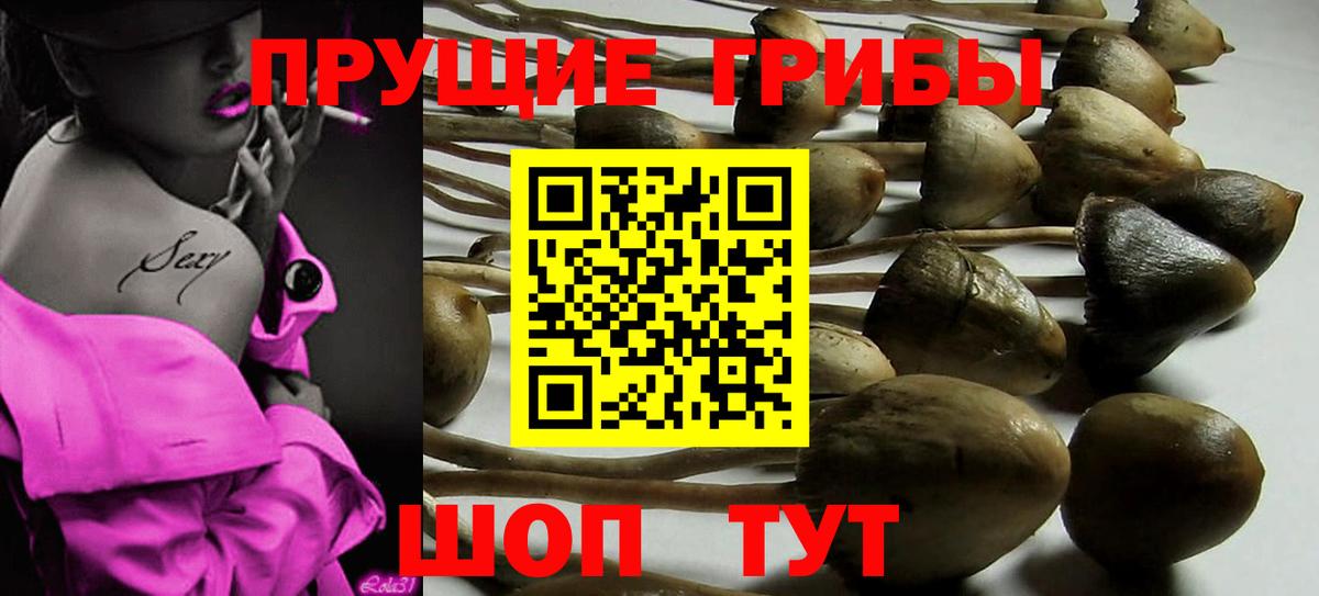 Псилоцибиновые грибы ЛСД Новый Уренгой