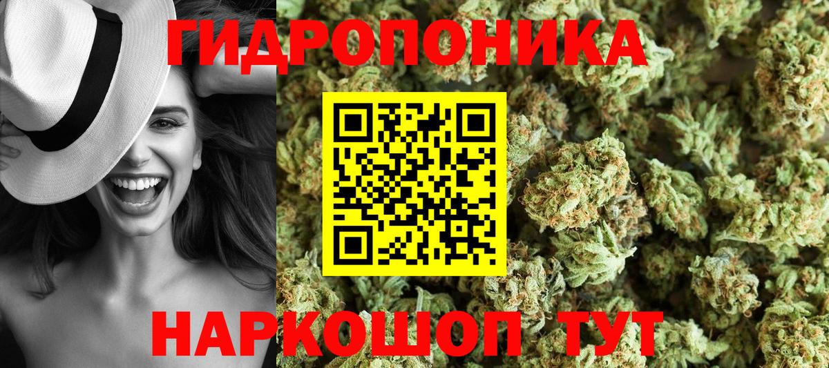 Бошки марихуана сатива Новый Уренгой